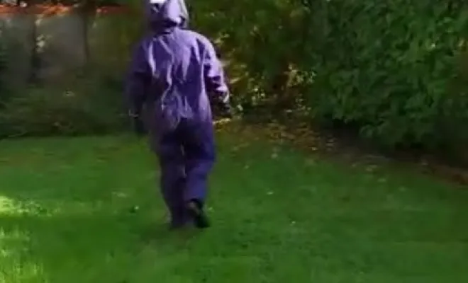 Désinsectisation Nid de Frelon Champigny sur Marne , Saint-Maur-des-Fossés, Stop Nuisible 75